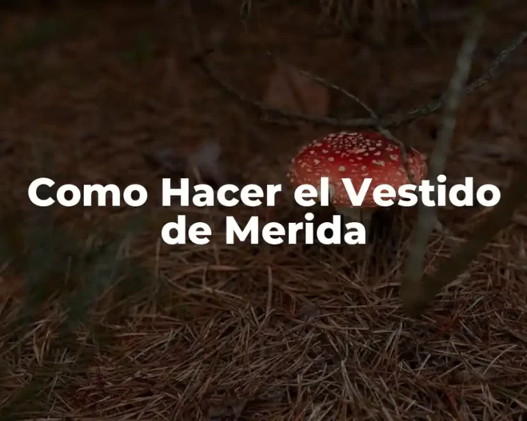 Como Hacer el Vestido de Merida