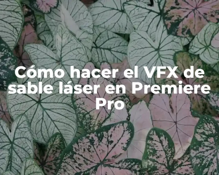 Cómo hacer el VFX de sable láser en Premiere Pro