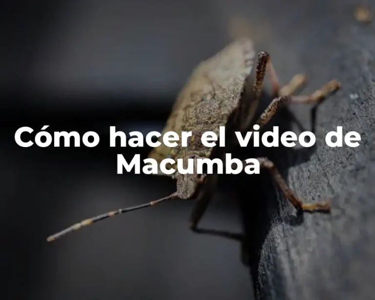 Cómo hacer el video de Macumba