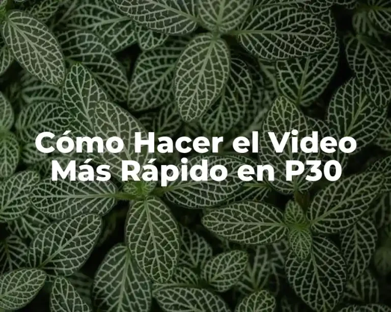 Cómo Hacer el Video Más Rápido en P30