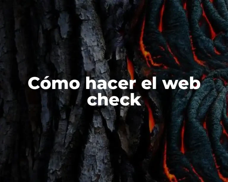 Cómo hacer el web check