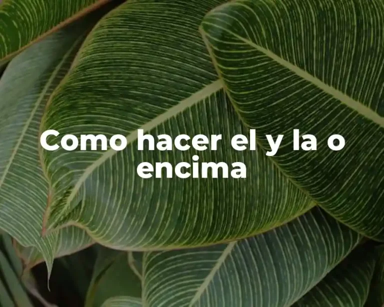 Como hacer el y la o encima