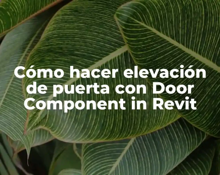 Cómo hacer elevación de puerta con Door Component in Revit