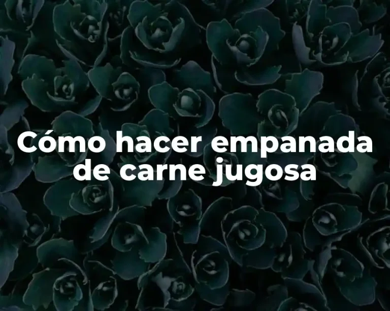 Cómo hacer empanada de carne jugosa