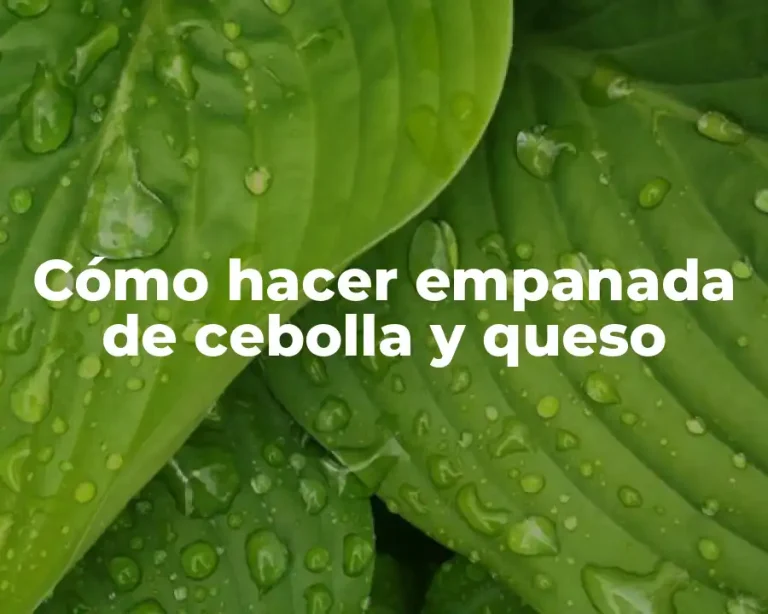 Cómo hacer empanada de cebolla y queso