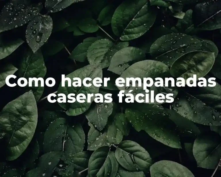 Como hacer empanadas caseras fáciles