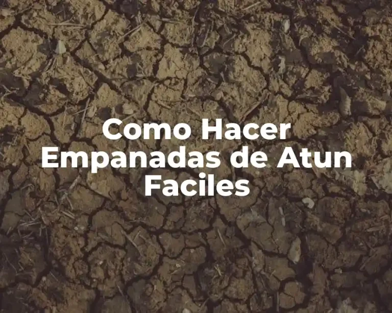 Como Hacer Empanadas de Atun Faciles