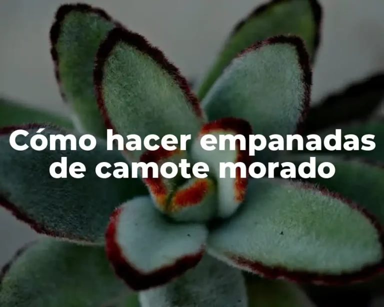 Cómo hacer empanadas de camote morado