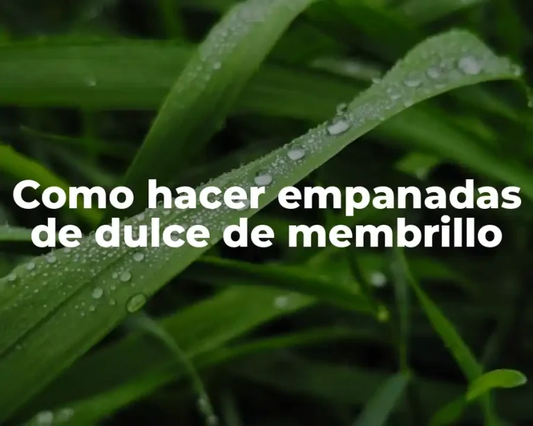 Como hacer empanadas de dulce de membrillo