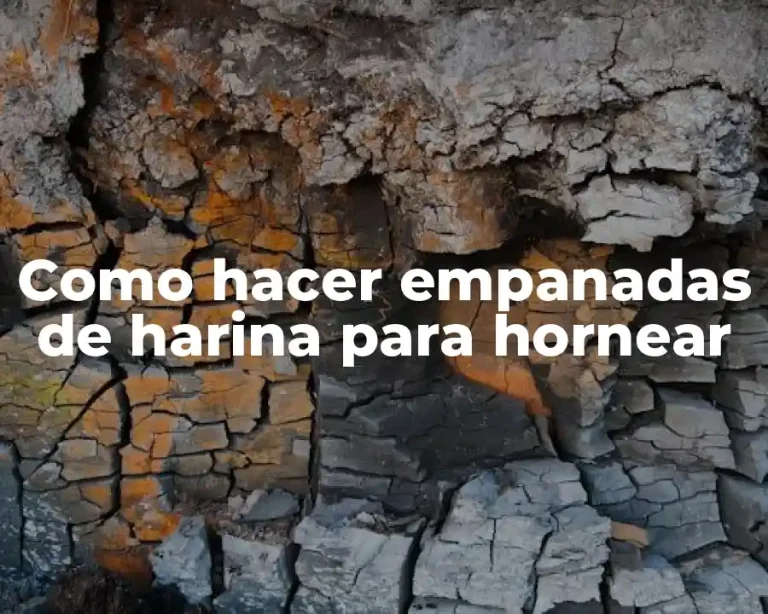 Como hacer empanadas de harina para hornear