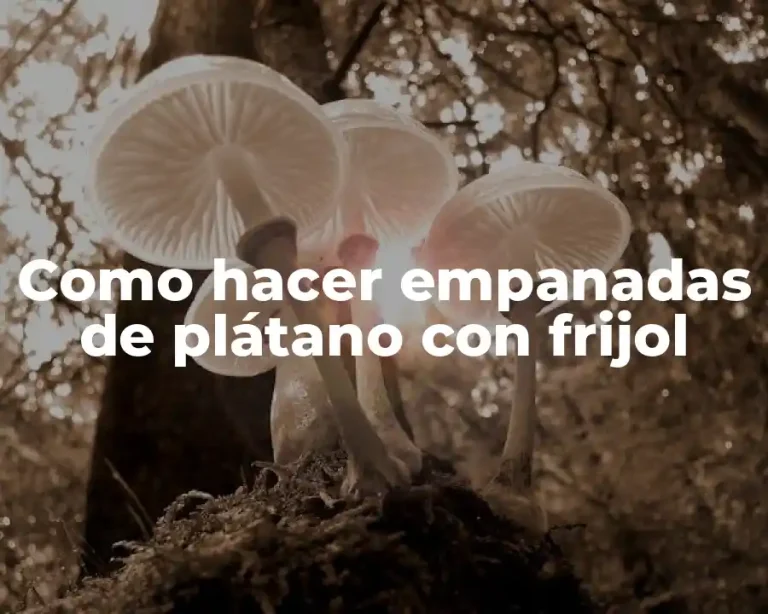 Como hacer empanadas de plátano con frijol