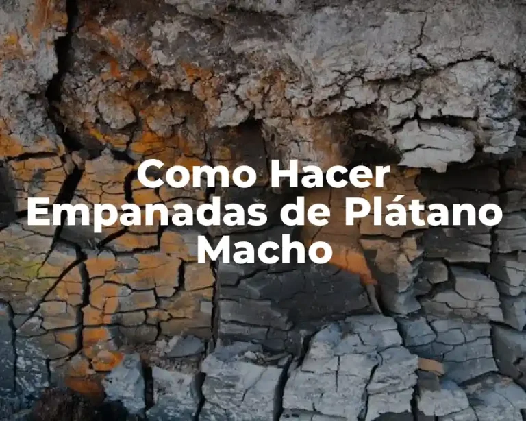 Como Hacer Empanadas de Plátano Macho