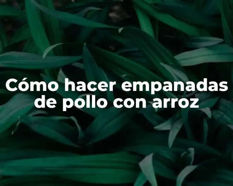 Cómo hacer empanadas de pollo con arroz