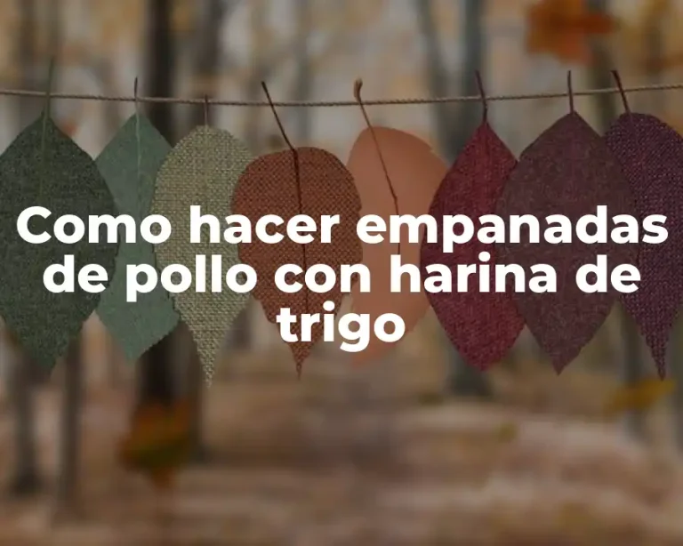 Como hacer empanadas de pollo con harina de trigo