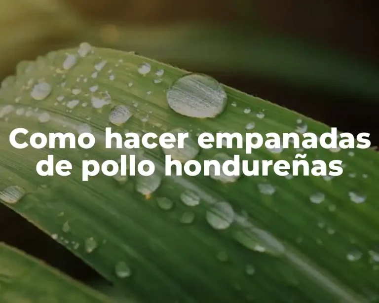 Como hacer empanadas de pollo hondureñas