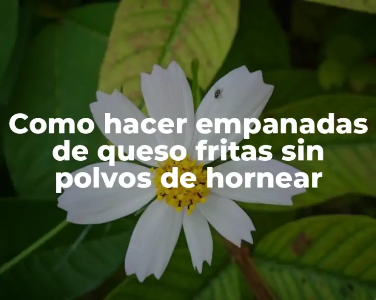 Como hacer empanadas de queso fritas sin polvos de hornear