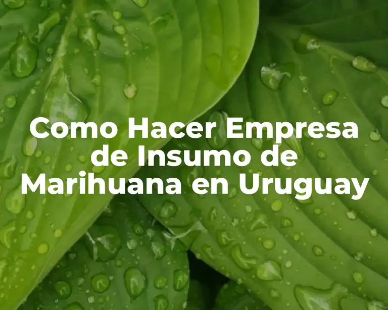 Como Hacer Empresa de Insumo de Marihuana en Uruguay