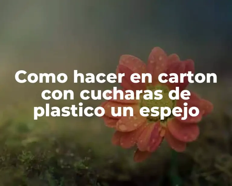 Como hacer en carton con cucharas de plastico un espejo