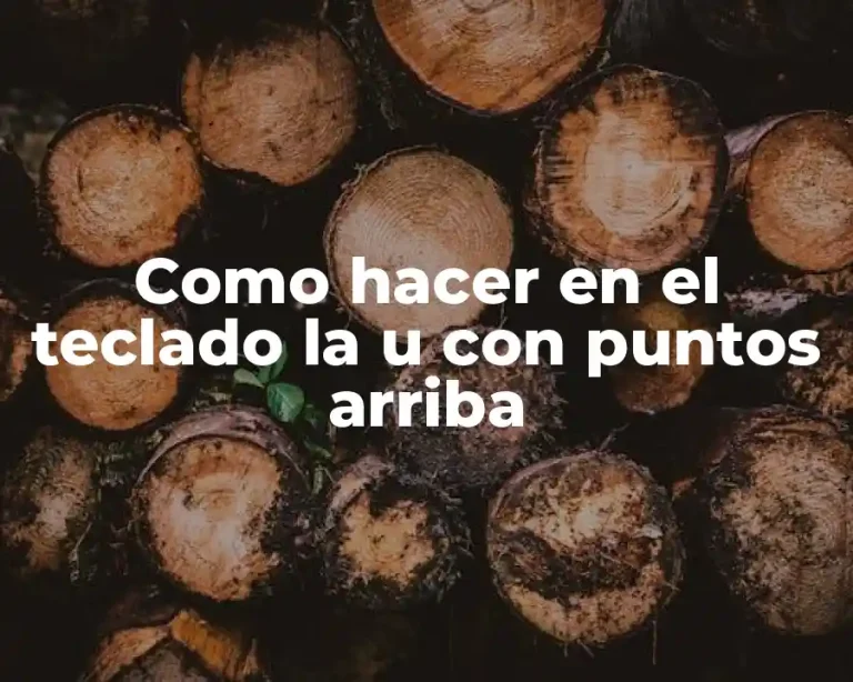 Como hacer en el teclado la u con puntos arriba