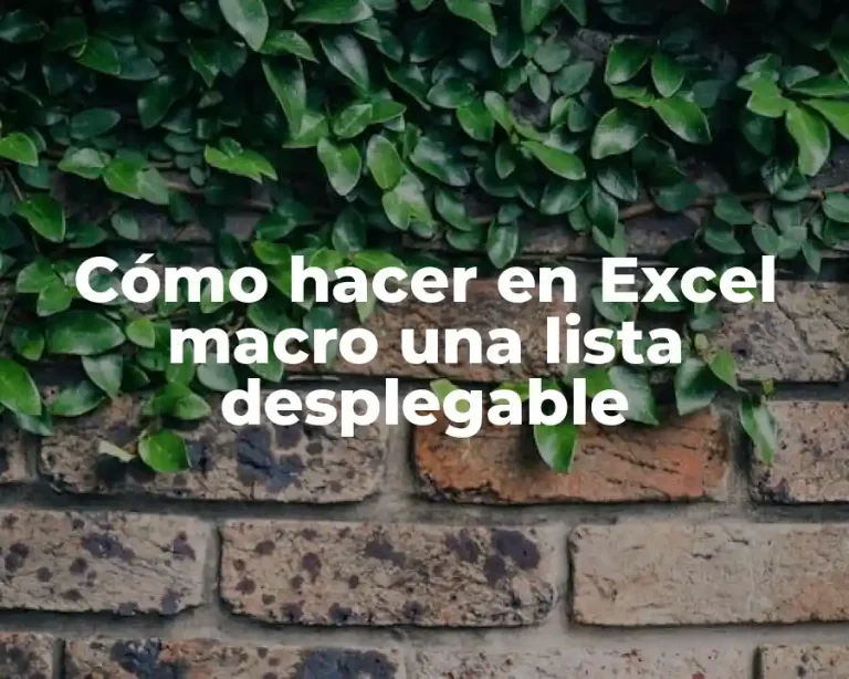 Cómo hacer en Excel macro una lista desplegable