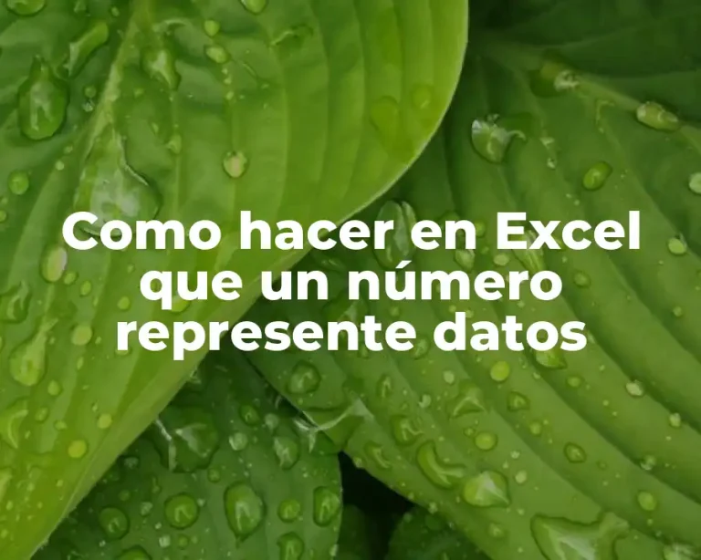 Como hacer en Excel que un número represente datos