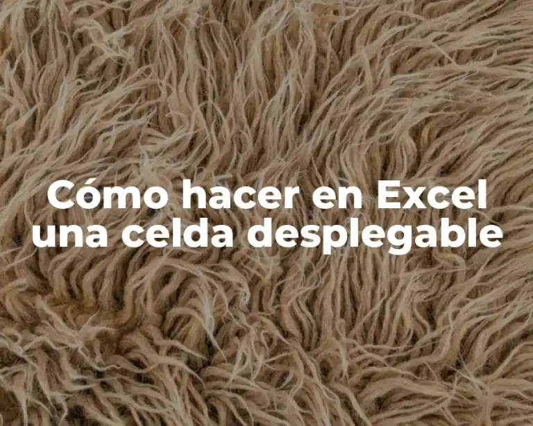 Cómo hacer en Excel una celda desplegable