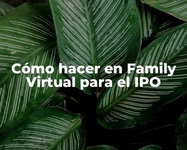 Cómo hacer en Family Virtual para el IPO