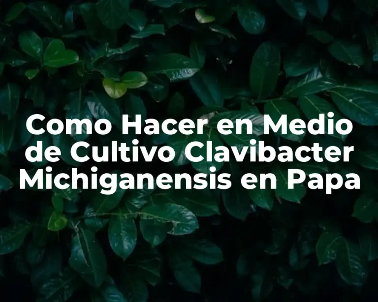 Como Hacer en Medio de Cultivo Clavibacter Michiganensis en Papa