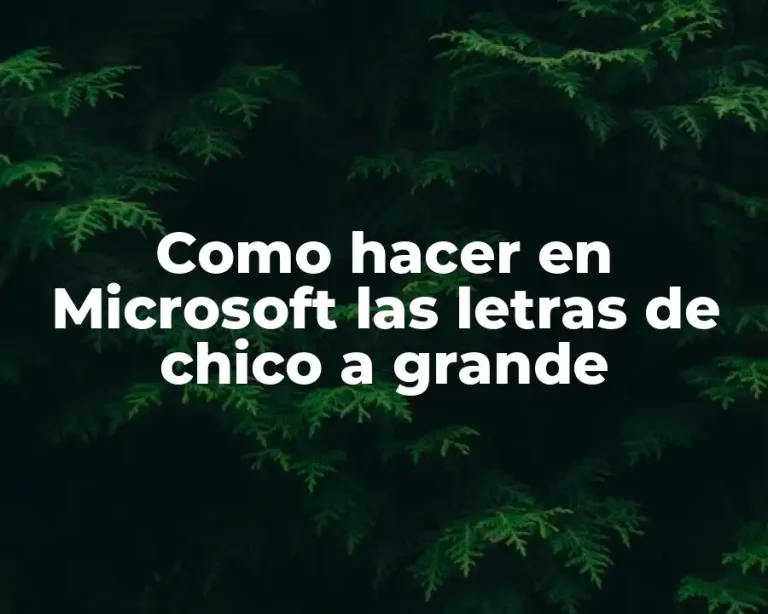 Como hacer en Microsoft las letras de chico a grande
