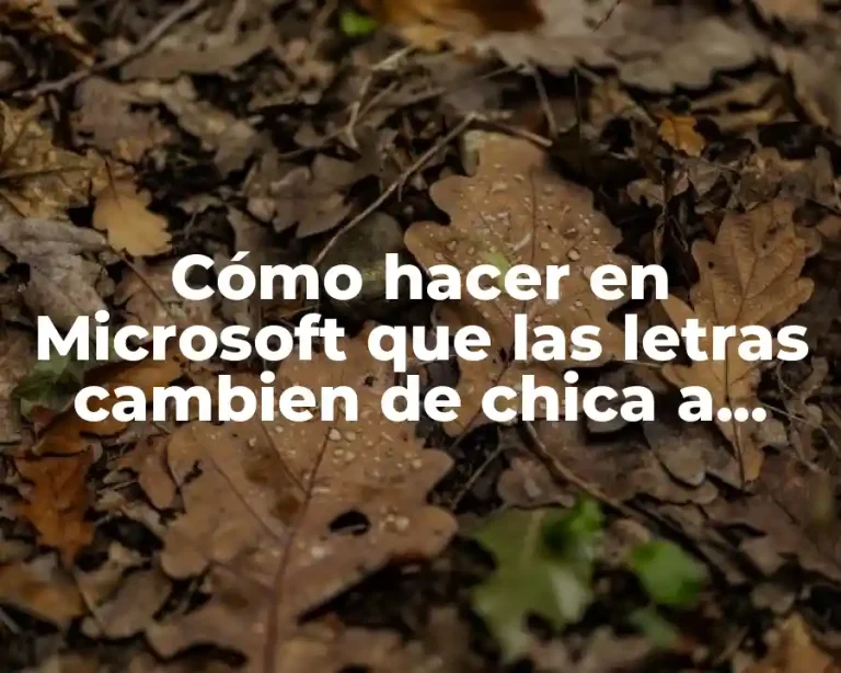 Cómo hacer en Microsoft que las letras cambien de chica a grande