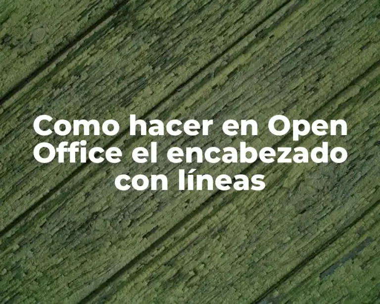 Como hacer en Open Office el encabezado con líneas
