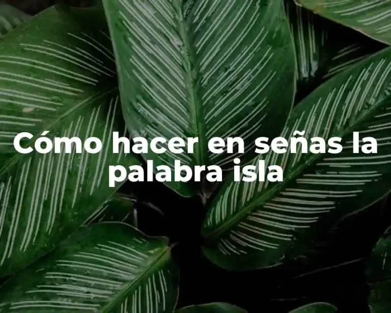 Cómo hacer en señas la palabra isla