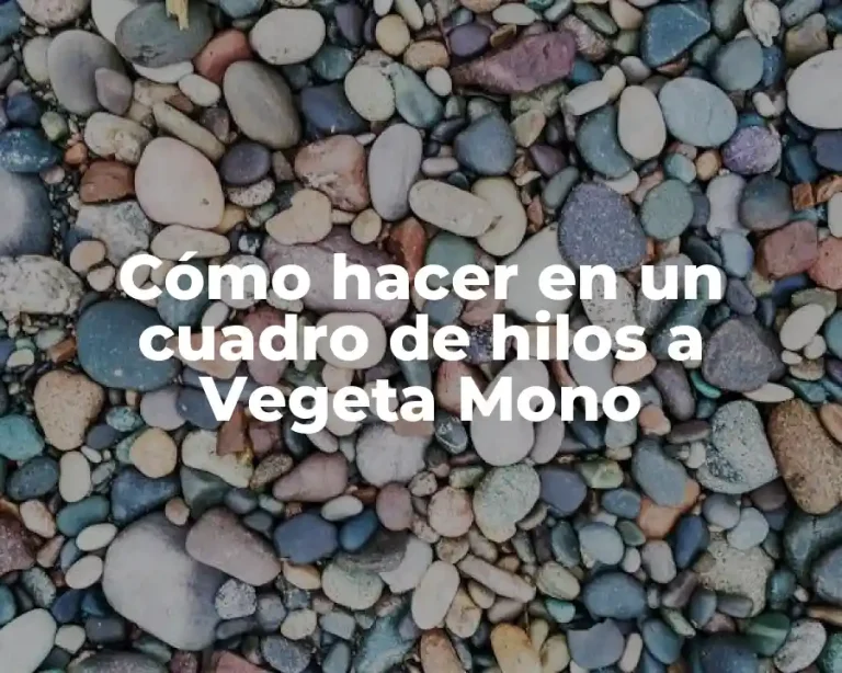 Cómo hacer en un cuadro de hilos a Vegeta Mono