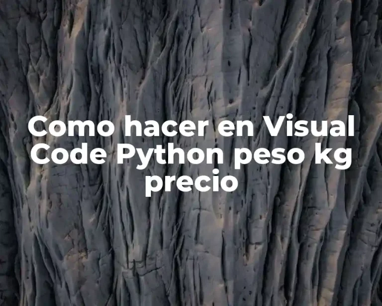 Como hacer en Visual Code Python peso kg precio