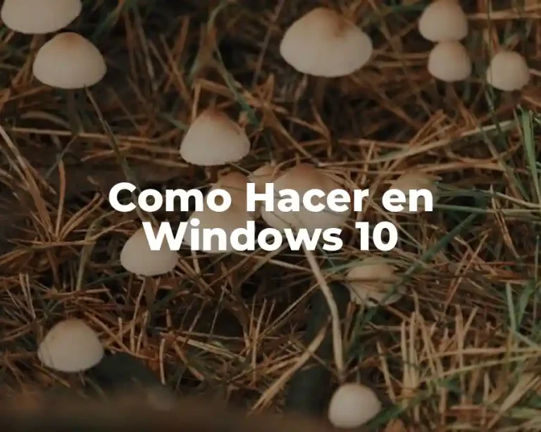 Como Hacer en Windows 10