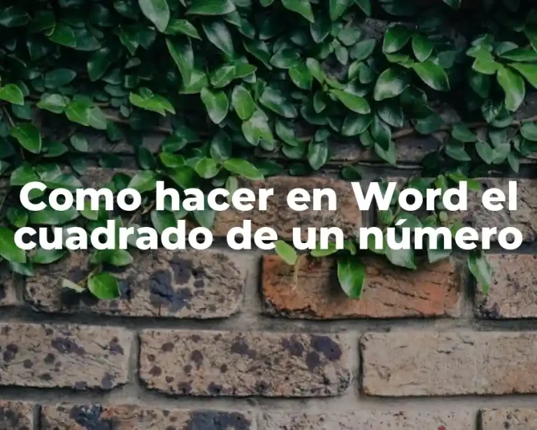 Como hacer en Word el cuadrado de un número