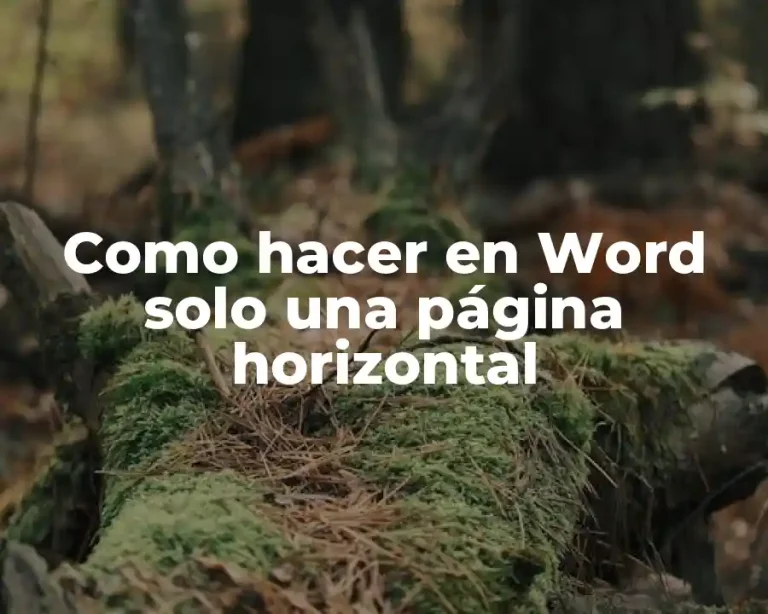 Como hacer en Word solo una página horizontal