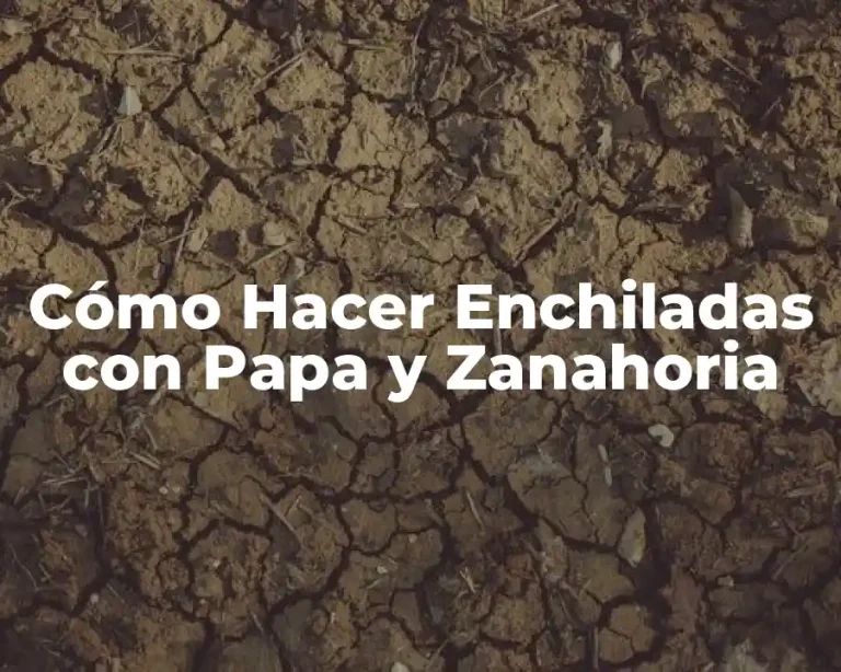 Cómo Hacer Enchiladas con Papa y Zanahoria