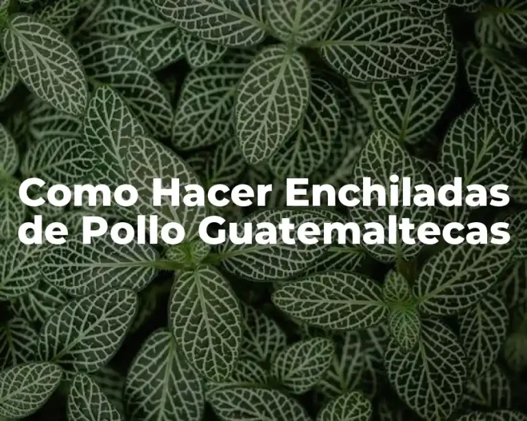 Como Hacer Enchiladas de Pollo Guatemaltecas