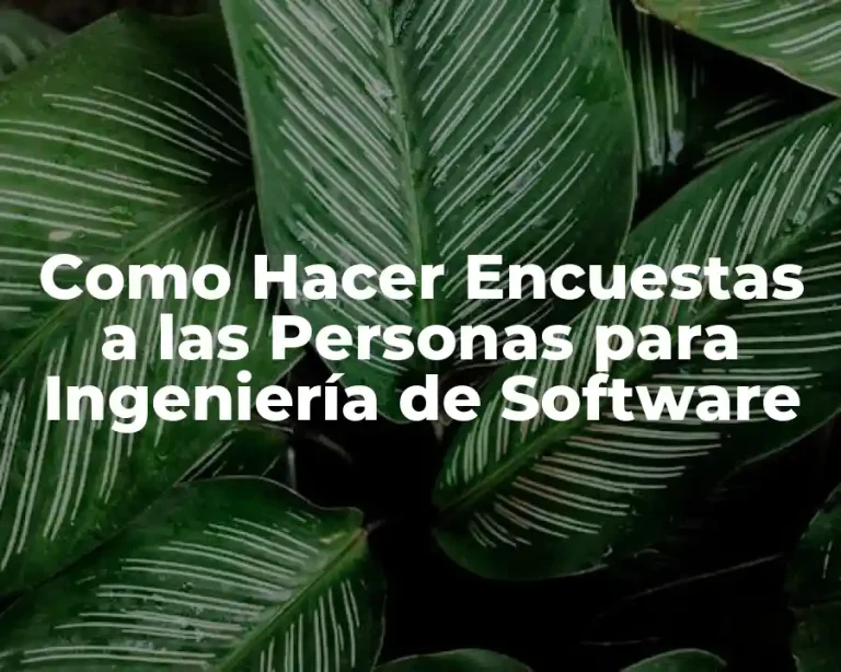 Como Hacer Encuestas a las Personas para Ingeniería de Software