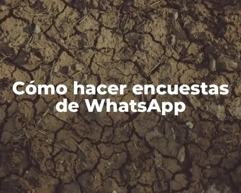 Cómo hacer encuestas de WhatsApp