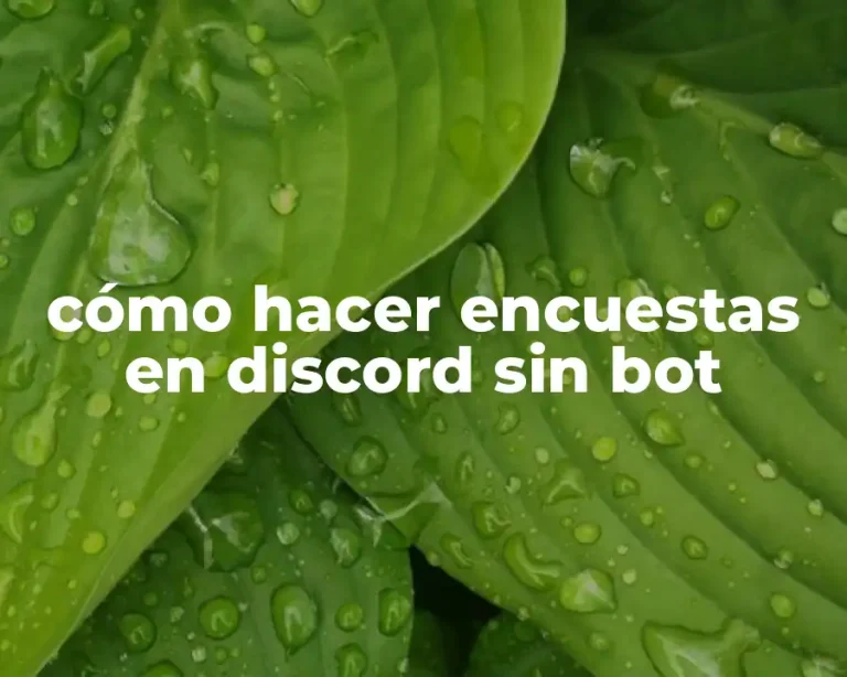 cómo hacer encuestas en discord sin bot