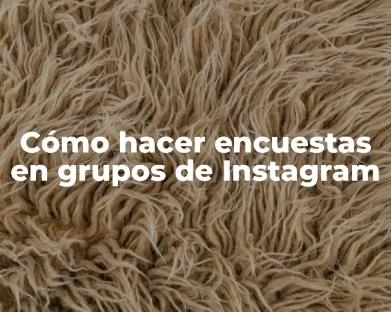 Cómo hacer encuestas en grupos de Instagram