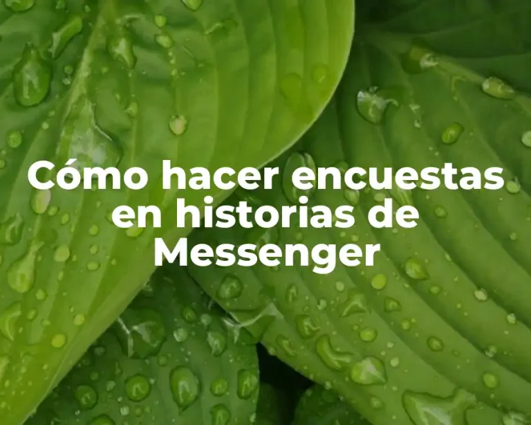 Cómo hacer encuestas en historias de Messenger
