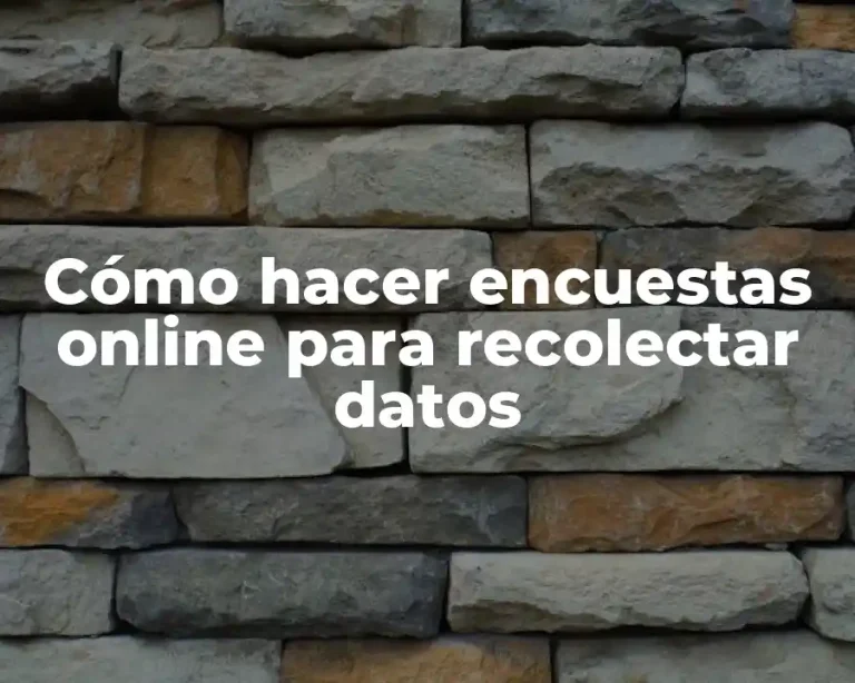 Cómo hacer encuestas online para recolectar datos
