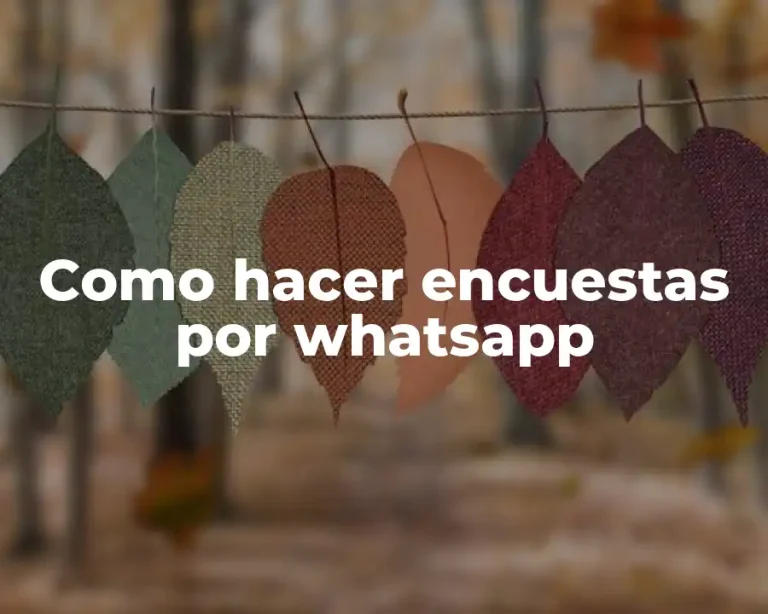 Como hacer encuestas por whatsapp
