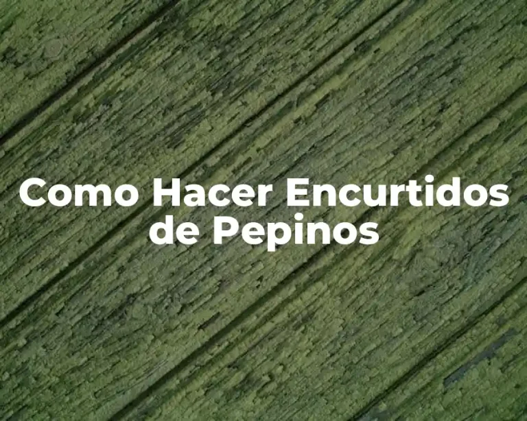 Como Hacer Encurtidos de Pepinos