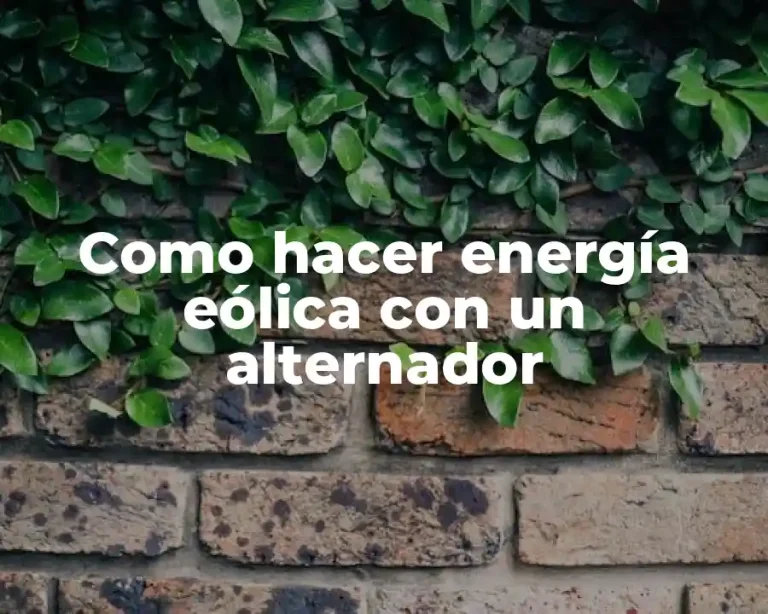 Como hacer energía eólica con un alternador