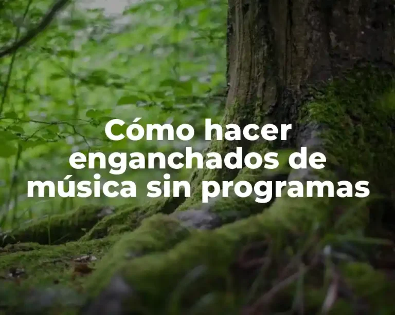 Cómo hacer enganchados de música sin programas
