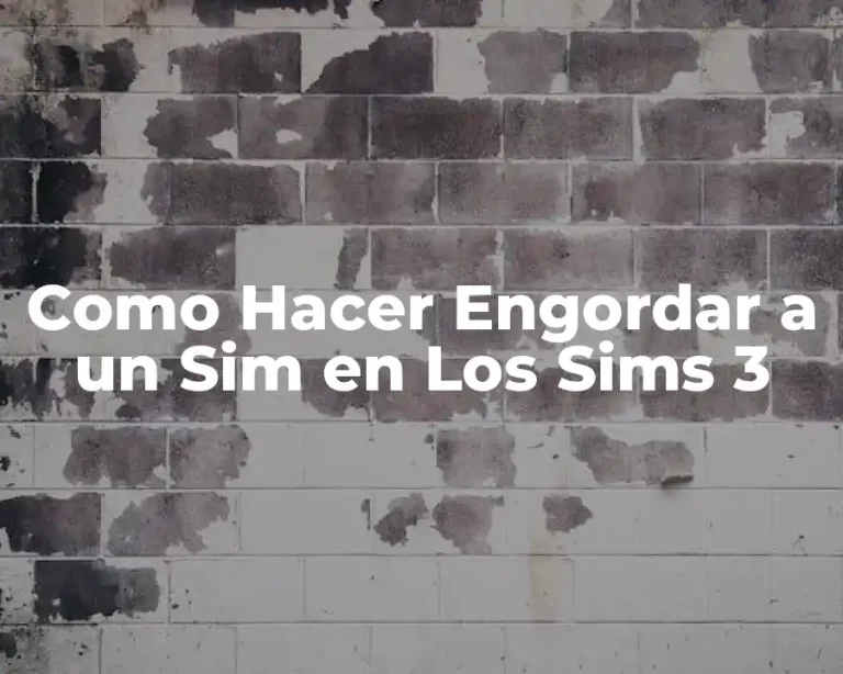 Como Hacer Engordar a un Sim en Los Sims 3